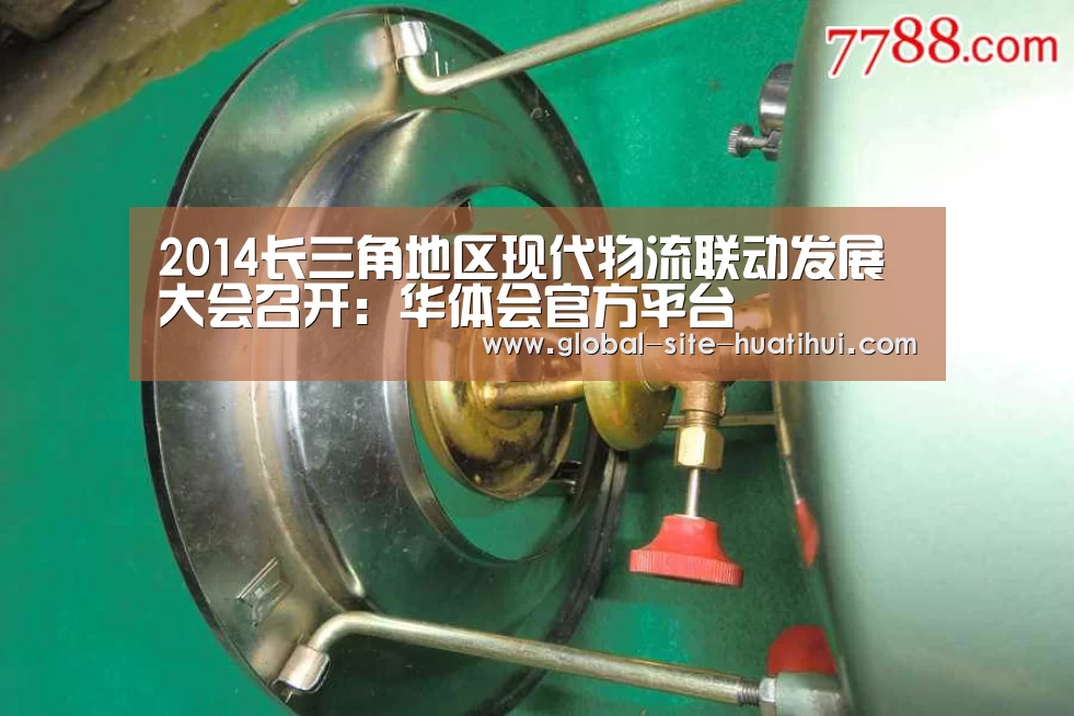 2014长三角地区现代物流联动发展大会召开:华体会官方平台(图4) 华体会官方平台