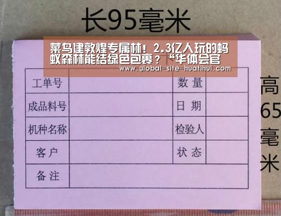 华体会体育app下载
