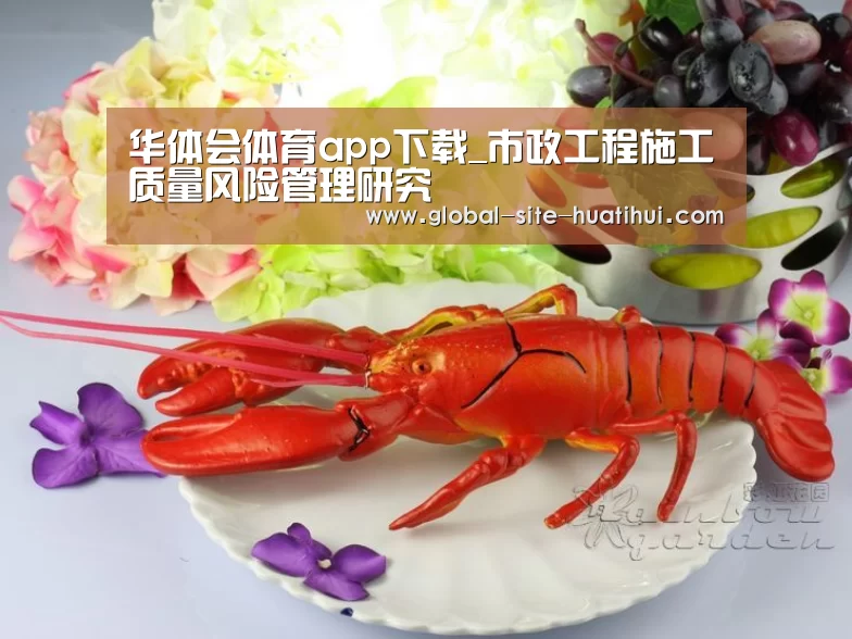 华体会体育app下载