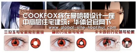 华体会官方网站入口