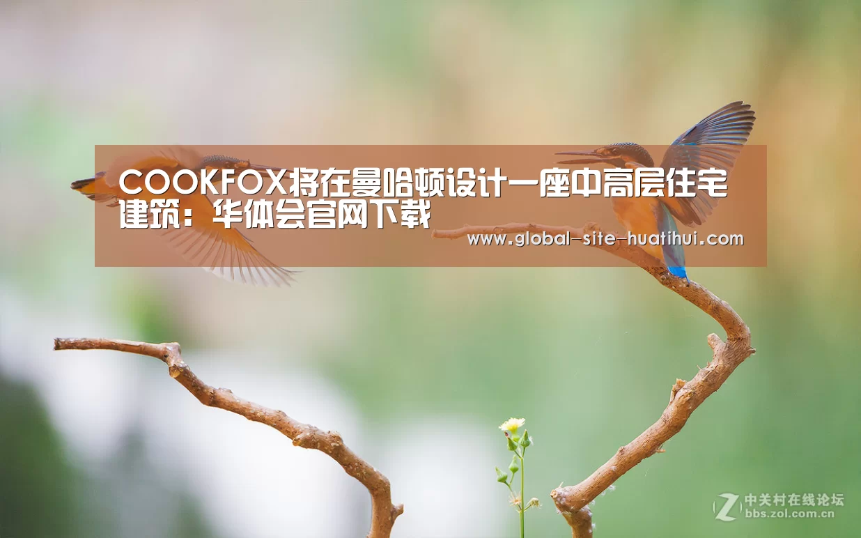 华体会官网下载