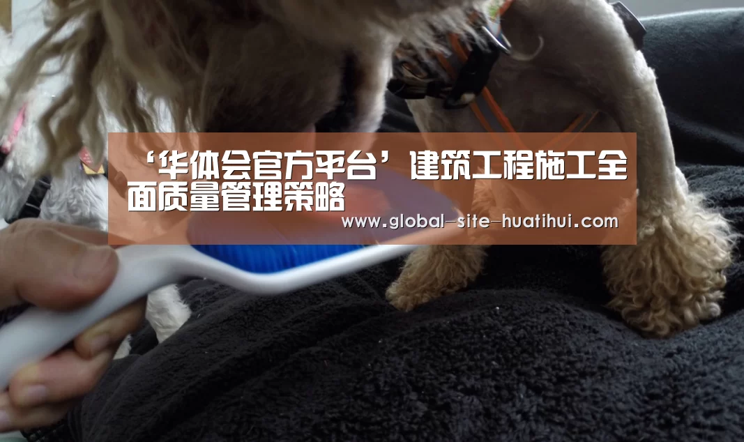 华体会官方网站入口