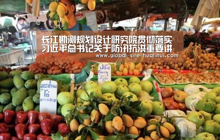 长江勘测规划设计研究院贯彻落实习近平总书记关于防汛抗洪重要讲话精神:华体会体育app下载(图2) 华体会官方网站入口