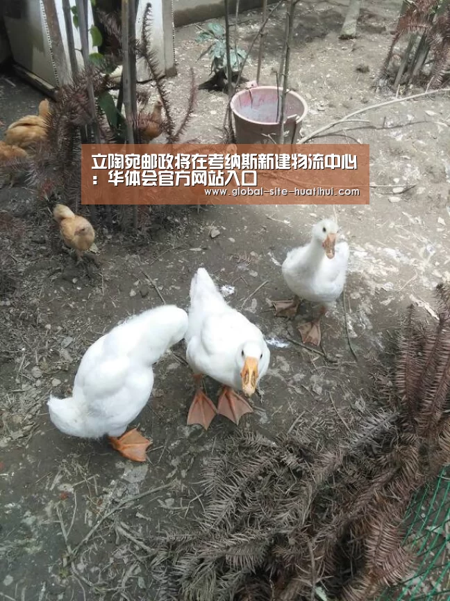 华体会官方网站入口