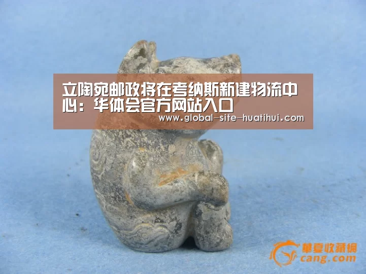 华体会体育app下载